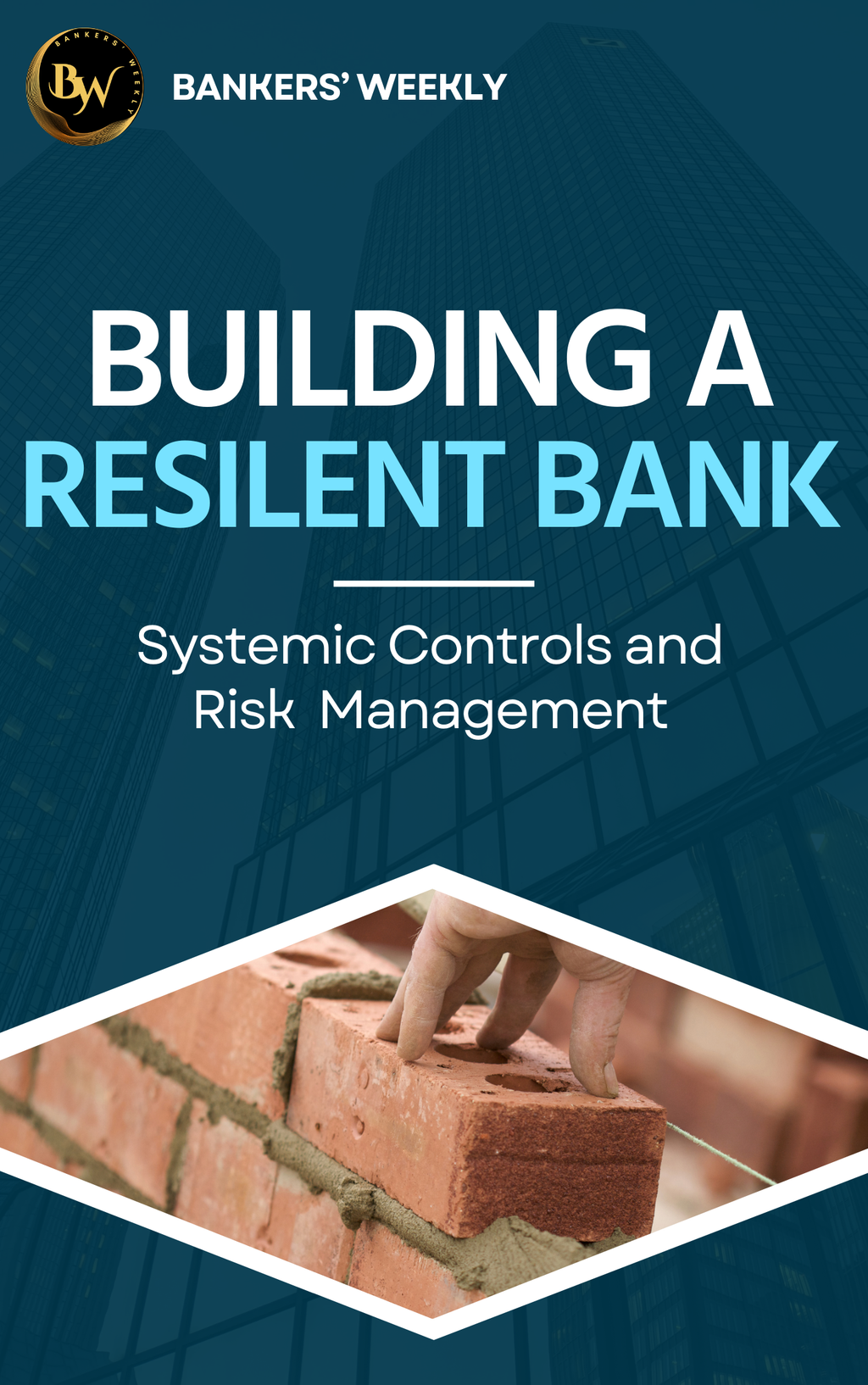 Building a Resilient Bank: Systemic Controls & Risk Management