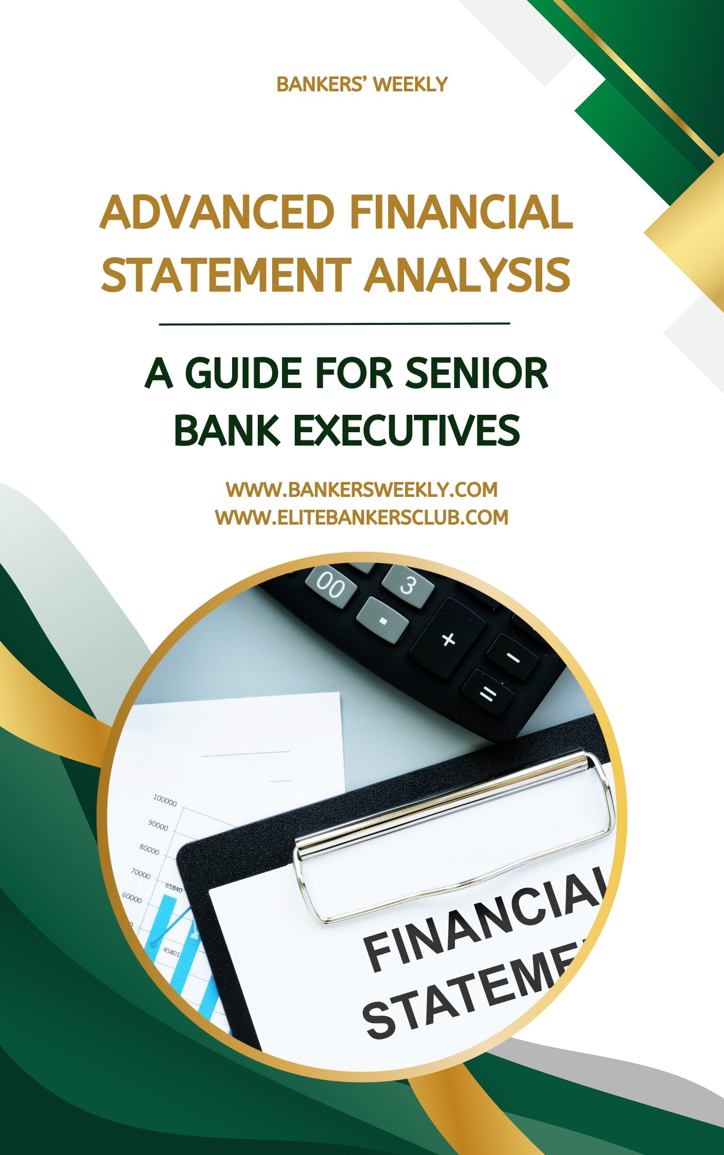 Advanced Financial Statement Analysis: A Guide for Senior Bank Executives